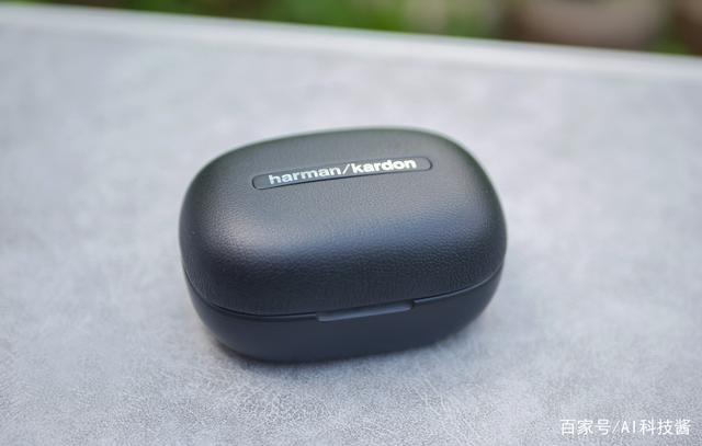 Harman Kardon FLY TWS 01